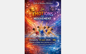 Gala Natation Artistique