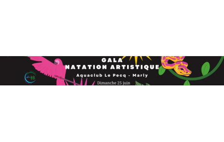 GALA de Natation Artistique 25 juin 2023