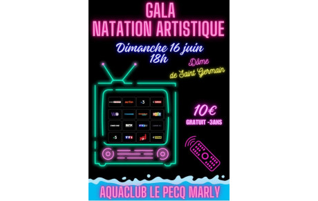Gala de Natation Artistique 2024