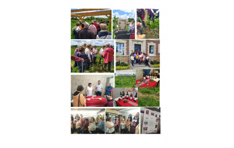 Retour sur la visite des vignes du 15 mai 2024